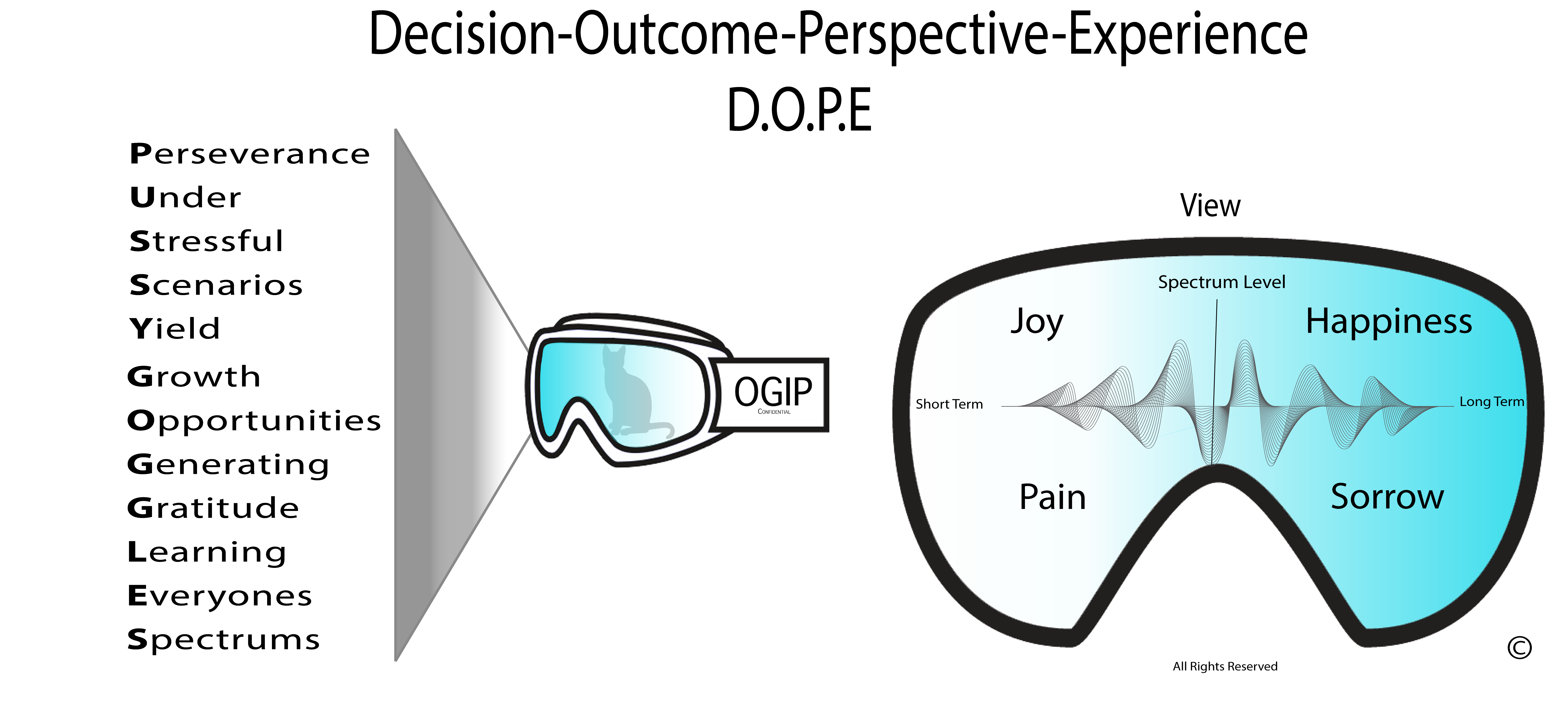 Pussy Goggles OGIP Decision-Outcome-Perspective Experience©